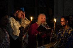 DSC02321-Medium