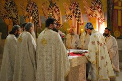 DSC_1878-Custom-Custom