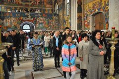 DSC_1886-Custom-Custom