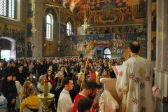 DSC_1908-Custom-Custom