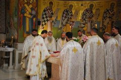 DSC_1911-Custom-Custom