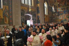 DSC_1930-Custom-Custom