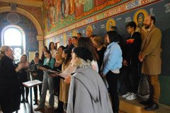 DSC_1938-Custom-Custom