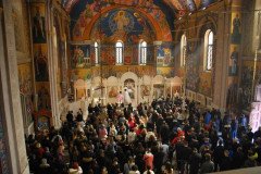 DSC_1944-Custom-Custom