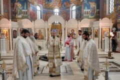 IMG_20220220_090520-Custom-Custom