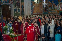 DSC_4596-Medium
