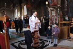 IMG_3367-Medium