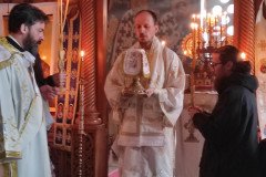IMG_20230120_085248-Medium