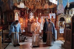 IMG_20230120_101154-Medium