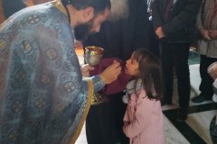 IMG_20230120_101508-Medium