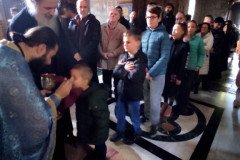 IMG_20230120_101521-Medium