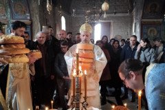 IMG_20230120_110209-Medium