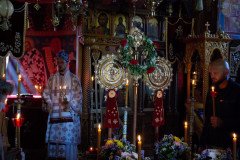 DSC_0844-Medium