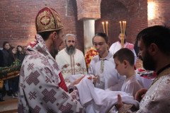 IMG_3236-Medium