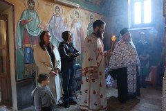 IMG_5884-Medium