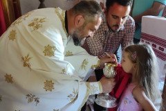 IMG_20220712_094802-Medium
