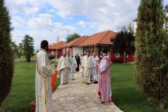 IMG_0961-Medium