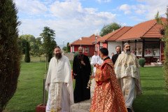 IMG_0964-Medium