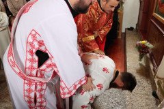 IMG_1091-Medium