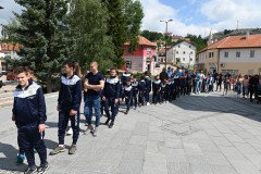SAS_8386-Medium