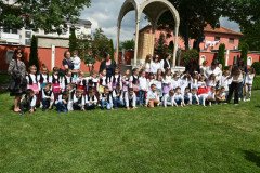 SAS_8471-Medium