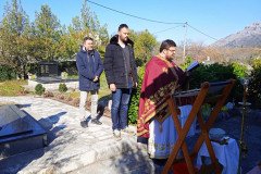 IMG-38910fa5292c2bfe0078b296340c2290-V-Medium
