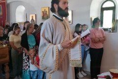 IMG-2ab3aff90fd50997a940bd7062529f6c-V-Medium