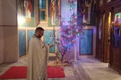 IMG_20230107_194758-Medium