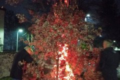 IMG_20230107_194843-Medium