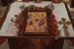 IMG_20230107_194918-Medium