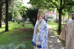 IMG_0251-Medium