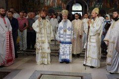 IMG_0255-Medium