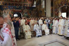 IMG_0266-Medium