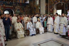 IMG_0267-Medium