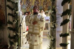 IMG_0289-Medium