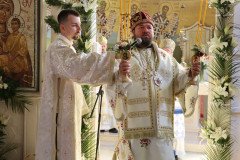 IMG_0298-Medium