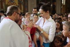 IMG_0378-Medium