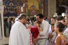 IMG_0379-Medium