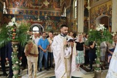 IMG_0386-Medium
