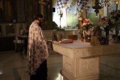 IMG_0458-Medium