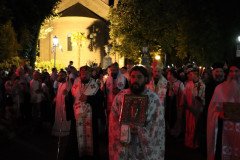 IMG_0482-Medium
