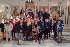 IMG-13e42482ed014d7c035b21aba9b8f51b-V-Medium