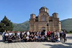 podjela-NZ-Medium