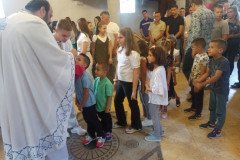 IMG_20220904_162951-Medium