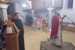 IMG_20220309_222044-Medium