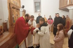 IMG_20220309_222247-Medium