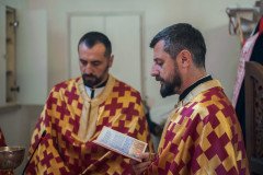 DSC_4856-Medium