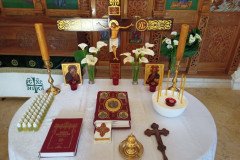 IMG20220420160749-Medium