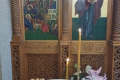 IMG_20220921_091649-Medium