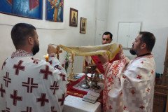 IMG_20220921_093422-Medium